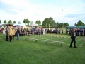 dgf2005007